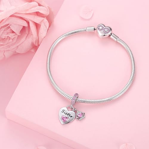 Family Charms for Charms Bracelet: 925 Sterling Silver Heart Dangle Charms for Bracelets and Necklaces, Birthday Mother's Day Christmas Jewelry Gifts For Women. - color: Sister