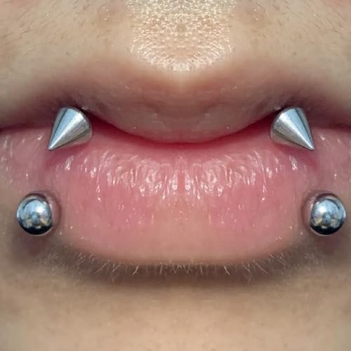 16G Horseshoe Rings Surgical Steel Nose Septum Horseshoe Hoop Earring Eyebrow Tragus Lip Rings Daith Helix Piercing Jewelry for Women Men 6-12mm Smily Piercing Jewelry - color: Gold Septum rings lip rings