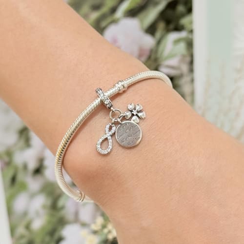 925 Sterling Silver Bead Charm for Pandora Bracelets and Necklaces,Pink Bow Cherry Butterfly Blue Ocean Pendant Bead Charms Jewelry Present Valentines Gifts for Wife/Girlfriend Women - style: All of Me Loves All of You