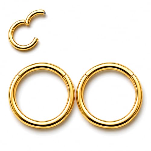 AMASIS Nose Rings and Nose Studs Set, Stainless Steel Hinged Nose Hoops and CZ Studs, Select Sizes and Styles for Nostril Septum Cartilage Piercing Jewelry - color: Gold, size: 2-Piece Hoops,16Gauge,8mm