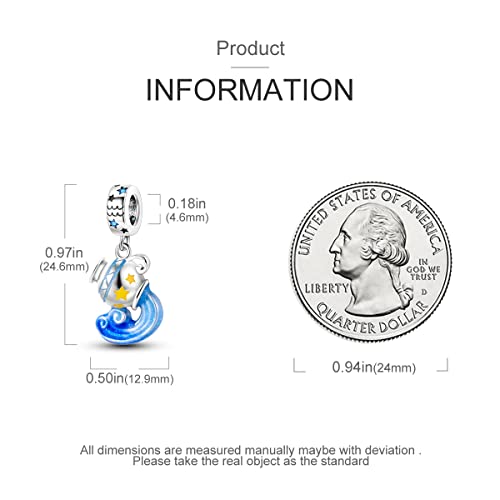 Zodiac Sign Charms for Bracelet Necklace 925 Sterling Silver Charms 12 Constellation/Horoscope Star Dangle Birthstone Beads, Birthday Jewelry Gifts for Women Men - color: Zodiac Aquarius(1.20～2.18)