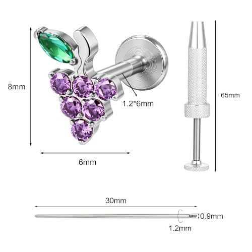 G23 Titanium Gold Filled 16G Cartilage Earring, 6mm 8mm - color: Grape, Silver, size: 6MM