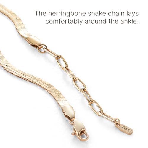 JENNY BIRD Zeina Anklet - color: High Polish Gold