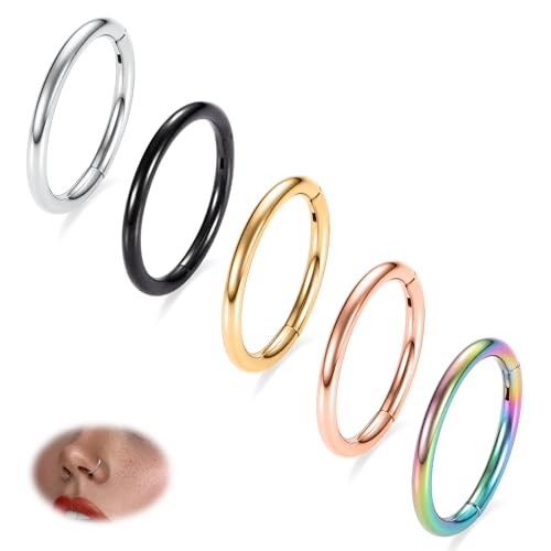 PEAKLINK 316L Hinged Segment Seamless Clicker Ring Nose Ring Hoop Septum Helix Conch Piercing Jewelry 5PCS Daith Lip Lobe Hoop Earrings - color: Single Hoop Ring:Silver/(Rose)Gold/Black/Rainbow, size: 16G 10mm
