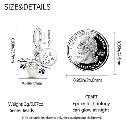 HappyStar 925 Sterling Silver Animal Dogs Charms Pendants fit Pandora Bracelets Necklaces Flowers Sports Travel Charms for Bracelets Women Jrwelry Gifts(with one Spacer Bead Charms) - style: Firefly charm