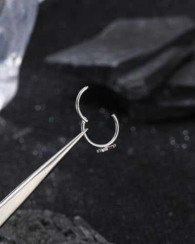 20g Nose Rings Hoops 316L Surgical Stainless Steel Nose Piercing Jewelry Helix Tragus Conch Rook Earrings Hinged Segment Lip Ring for Women Men