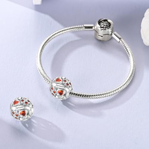 LNQOBU 925 Sterling Silve Lucky Birthstone Charm for Bracelets, With 5A Cubic Zirconia Birthday Charms Dangle Pendant Bead for Pandora Bracelets and Necklaces - color: A1-January