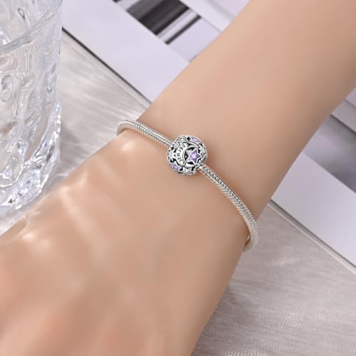 Star Moon 925 Sterling Silver Birthstone Charm for Bracelet Women Jewelry - color: February