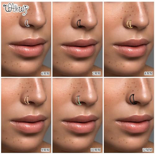 WBRWP 316L Stainless Steel Nose Hoop Rings Clicker with Zircon/Opal 14g-20g | Hypoallergenic Nose Rings Segment Clicker Lip Rings Cartilage Rook Conch Earrings Diameter 5mm-10mm - color: Double hoop silver ring