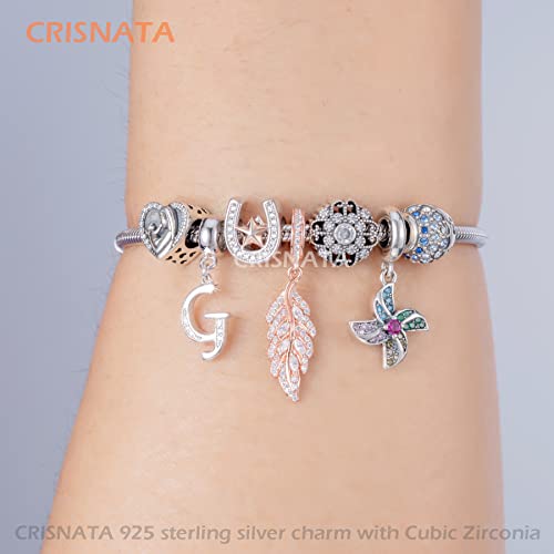 26 Letter Pendant Charms, Polished 925 Sterling Silver Complete Initial A-Z Dangling CZ Stone Alphabet Beads, fits European Bracelet Necklace, Gift for Mother/Father/Daughter/Son/Sister/Aunt - color: Letter G CZ Pendant Charm