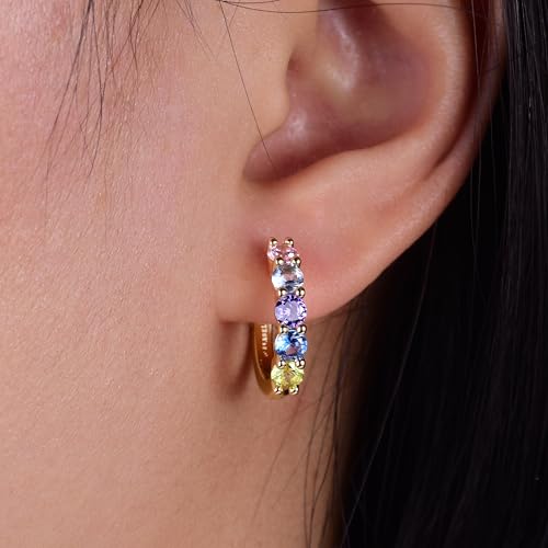 Evabelle Gold Hoop Earrings for Women 14K Real Gold Plated Cubic Zirconia Diamond Hoop Earrings Huggie Hoop Earring Women Earrings Earring for Men 925 Sterling Silver Post Hypoallergenic - color: Hoops 04-Colorful-14K Gold Plated
