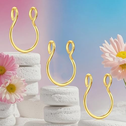 D.Bella Fake Septum Hoop 20G Faux Nose Piercing Hoop Clip on Nose Rings Non Piercing Fake Septum Lip Ear Ring Faux Body Piercing Jewelry for Women Men - color: Color B -gold