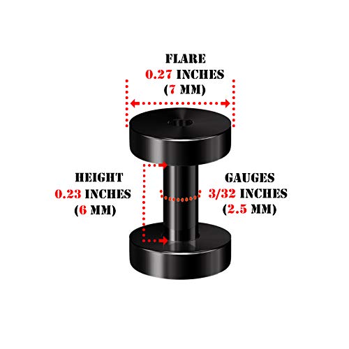 Pair of 316L Surgical Steel Black Anodized Screw-fit Piercing Jewelry Ear Stretching Lobe Plugs flesh Tunnel Earring - style: A04 2Pcs 10g (2.5mm)