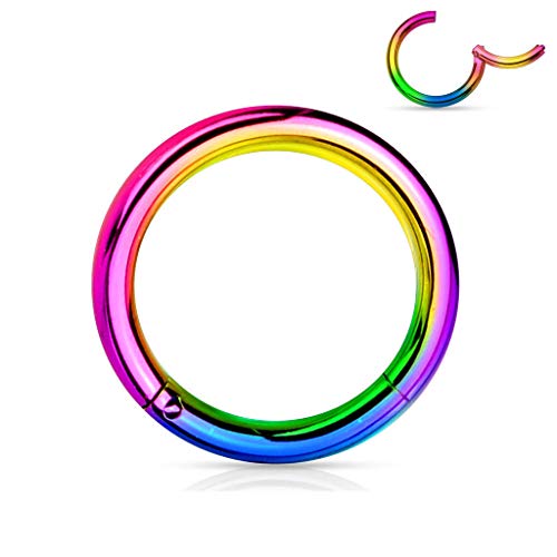 PAIR (2 PCS) 18G 5/16" (8mm) Rainbow Titanium Plated Hinged Segment Seamless 316L Surgical Stainless Steel Nose Septum Clicker Ring Huggie Sleeper Hoop Earrings Cartilage Helix Lobes Body Piercing