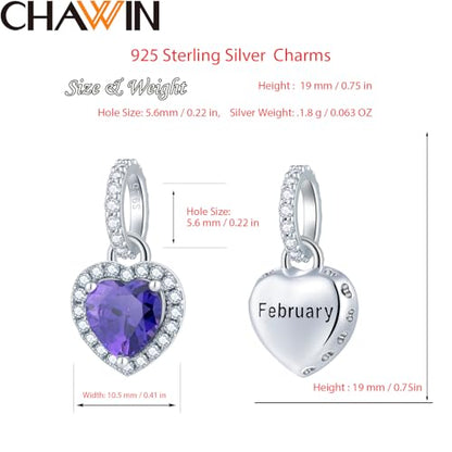 CHAWIN Birthstone Charms, 925 Sterling Silver Heart Dangle Charm, Sparkling CZ Compatible with Pandora Charm Bracelet, Necklace, Birthday Gifts for Women/Wife/Mother - style: 02# February