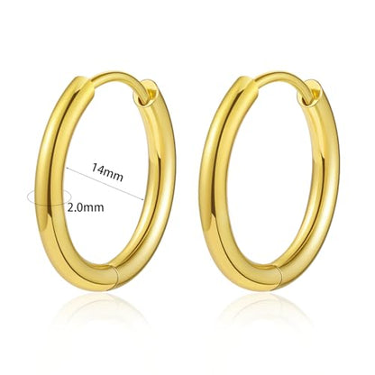 Titanium Huggie Hoop Earrings Hypoallergenic Nickel Free Hinged Sleeper Earrings for Sensitive Skin Cartilage Helix Lobes - style: gold-14mm