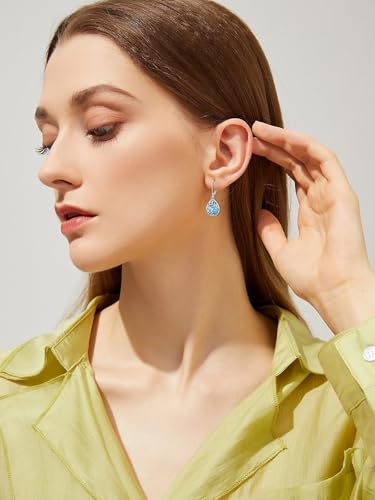 Dorunmo s925 Sterling Silver Western Dangle Drop Earrings Birthday Jewelry Gifts for Women - style: Hummingbird