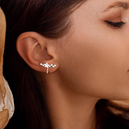 Star 14K Gold Plated Ear Cuff Earrings for Women Non Piercing, Dainty Silver Plated Clip on Cartilage Ear Cuff Non Pierced Trendy CZ Northstar Starburst Sparkling Climber Clawer Earring Jewelry - style: Northstar-Silver