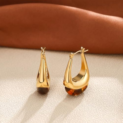Brown Earrings Circle Chunky Earrings for Women Trendy 18K Gold Plated Stud Hoop Stainless Steel Hypoallergenic - color: Brown Hoop