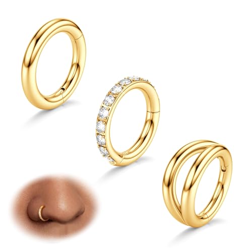 BodyBonita 3pcs Nose Rings Hoops - Double Hoop Nose Ring 14/16/18/20G Hinged CZ Piercing Jewelry Septum Clicker Rings Cartilage Earring Helix Rook Tragus Daith 7mm/8mm/9mm/10mm - color: 14K Gold Plated, size: 14 gauge-7mm