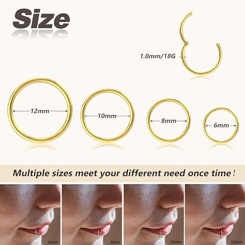 4/5/8 pcs 16G/18G/20G 316L Surgical Steel Hinged Nose Rings Hoops Lip Septum Rings Helix Conch Rook Cartilage Tragus Earrings Piercing Jewelry Black Silver Gold Plated Nose Rings Women Men - color: Gold and Silver - 18G (6mm-12mm) - 8PCs