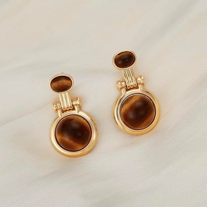 Dr's gift Chunky Leopard Print Earrings for Women 14K Gold Plated Statement Huggie Hoop Earrings Brown Acrylic Tortoise Resin Cheetah Trendy Jewelry - color: tiger tye