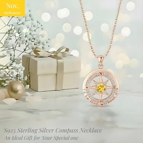 Compass Necklace for Women Wife Girlfriend Mom Daughter Gifts | S925 Silver Jewelry For Anniversary 18K Rose Gold Gifts For Birthday Christmas Mothers Valentines Day 12 Birthstones - style: 11-November-Rose Gold