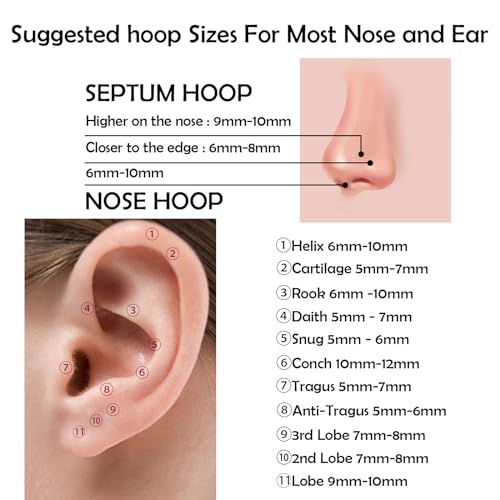 Titanium Septum Rings, Nose Rings Hoops for Women, Segment Nose Rings 16G 8mm/10mm Hypoallergenic Cartilage Conch Helix Rook Hoop Earrings - color: Double Stacked-Rose Gold, size: 16 Gauge 8mm