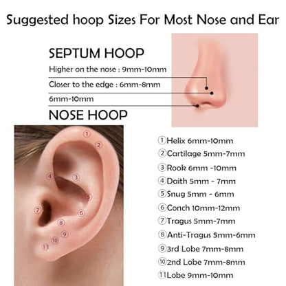 Titanium Septum Rings, Nose Rings Hoops for Women, Segment Nose Rings 16G 8mm/10mm Hypoallergenic Cartilage Conch Helix Rook Hoop Earrings - color: Double Stacked-Rose Gold, size: 16 Gauge 8mm