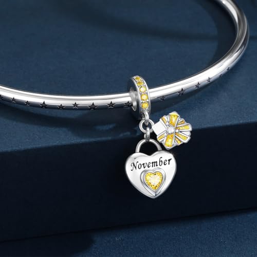 HappyStar 925 Sterling Silver Happy Birthday Bead Charm Love Heart Shape Birthstone Charms for Bracelets Dangle Pendant with 5A Cubic Zirconia Compatible Pandora Bracelets Jewelry Gift for Women - color: 92-November Birthstone Charms