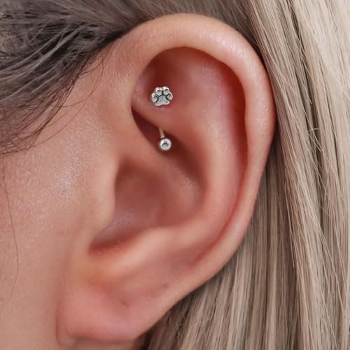 2Pcs Cat Paw Gold Eyebrow Rings Rook Piercing Jewelry 16G 6mm 8mm Threaded Cartilage Tragus Earrings 316L Stainless Steel Paw Prints Vertical Labret Lip Piercing Jewelry - color: Silver, size: 16 gauge(1.2mm)-8mm