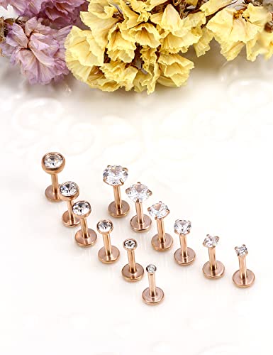 16G Lip Rings Stainless Steel Tragus Helix Conch Piercing Jewelry Snake Bite Piercing Monroe Lip Rings Labret Medusa Cartilage Lobe Earrings Piercing Jewelry CZ 2MM 2.5MM 3MM 3.5MM 4MM 4.5MM - color: 6MM-Rose Gold,2mm/2.5mm/3mm/3.5mm/4mm/4.5mm