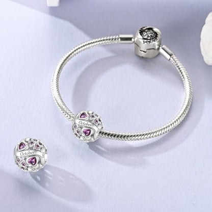 LNQOBU 925 Sterling Silve Lucky Birthstone Charm for Bracelets, With 5A Cubic Zirconia Birthday Charms Dangle Pendant Bead for Pandora Bracelets and Necklaces - color: J1-October