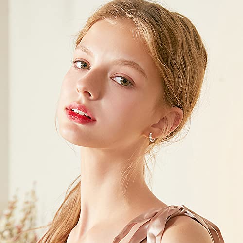 CiNily 14K White Gold Plated Small Hoop Earrings for Women Girls Heart Cubic Zirconia Hypoallergenic Earrings - color: Rose gold-white