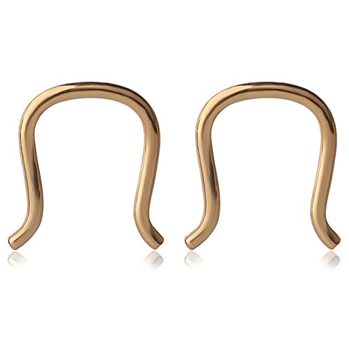 Ruifan 316L Surgical Steel U-Shaped & Staple Nose Septum Hanger Retainer Nose Ring 16g,14g,12g - color: Gold(16G)
