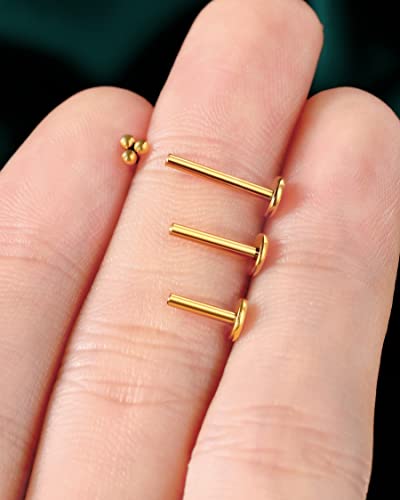 Cocharm G23 Titanium 16g Helix Cartilage Earrings Threadless 6mm, 8mm, 10mm Cluster Ear Studs Tragus Conch Piercing 16 Gauge Surgical Steel Medusa Stud - color: Gold