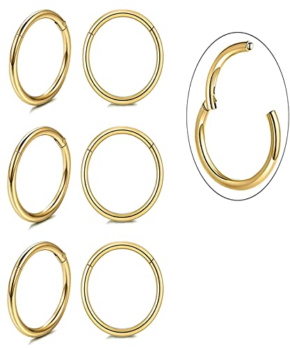 Unisex Dainty Tiny 18k Real Gold Plating Cartilage Huggie Hoop Earrings, 16G Surgical Steel Small Endless Hinged Hoops Earring for Earlobe Cartilage Helix Rook Daith Conch Nose Lip Body Piercing Jewelry - color: Gold 6mm