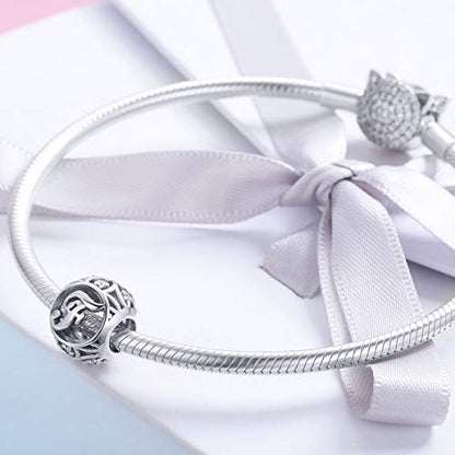 Letter Charms 925 Sterling Silver Initial A-Z Bead Charms | For Bracelets Necklaces, Hypoallergenic,Cubic Zirconia Alphabet Beads, Personalized Gifts for Women - color: F