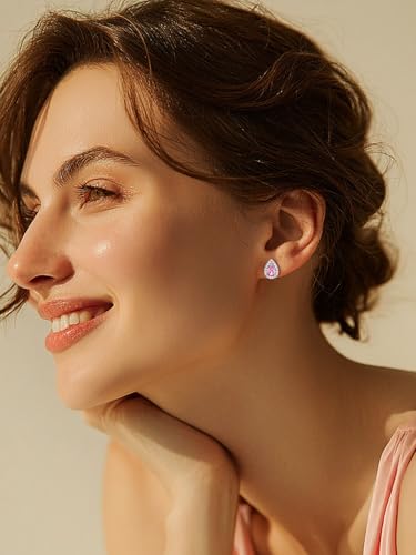 FindChic Birthstone Earrings for Women, Round/Heart/Square/Teardrop Earrings with 925 Sterling Silver Posts & Push Backs, Hypoallergenic Studs with Cubic Zirconia, 12 Months Jewelry with Gift Box - style: 10. October-Pink Tourmaline (Teardrop)