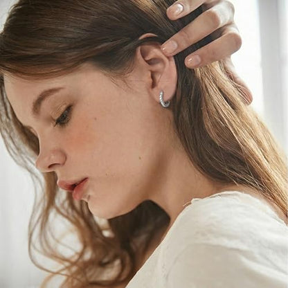 925 Sterling Silver Hollow Hoop Earrings for Women, Simple and Retro Style, Jewelry Gifts for Valentine's Day, Mother's Day, And Birthdays - style: Style 1
