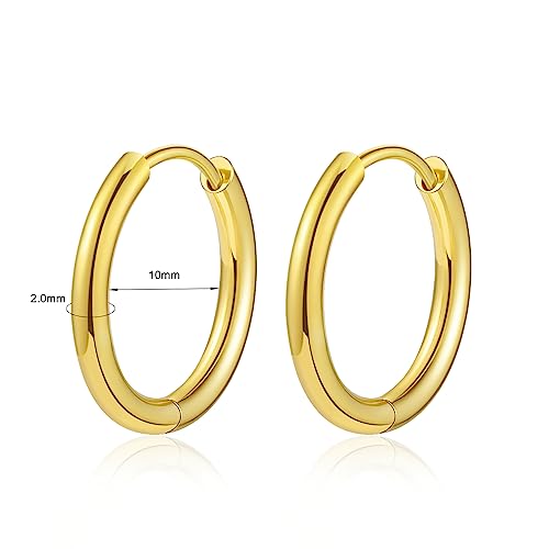 Titanium Huggie Hoop Earrings Hypoallergenic Nickel Free Hinged Sleeper Earrings for Sensitive Skin Cartilage Helix Lobes - style: gold 10mm