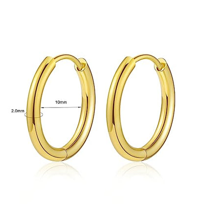 Titanium Huggie Hoop Earrings Hypoallergenic Nickel Free Hinged Sleeper Earrings for Sensitive Skin Cartilage Helix Lobes - style: gold 10mm