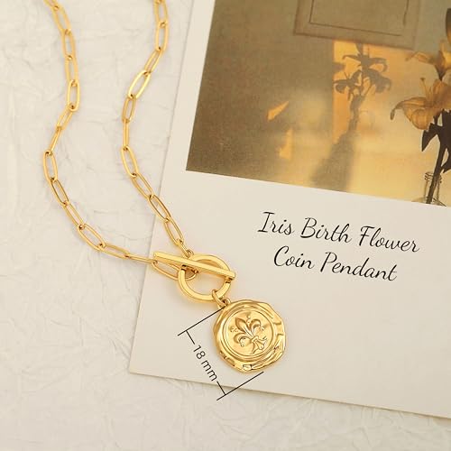 18k Gold Plated Chain Link Necklace for Women, Baroque Pearl/Compass Pendant Necklace - color: Iris Flower