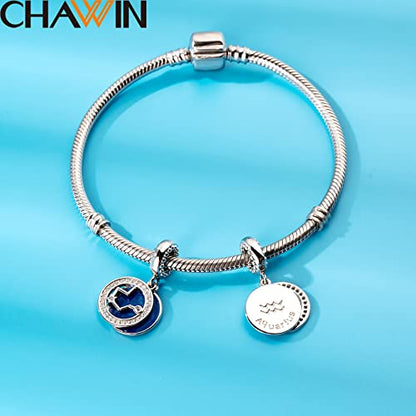 Zodiac Sign Charms for Charm Bracelets - 925 Sterling Silver Necklace Pendants, 12 Constellation/Horoscope Star Dangle - Dangling Birthstone Beads, Birthday Gifts for Women/Men. - color: Aquarius (1.20～2.18)