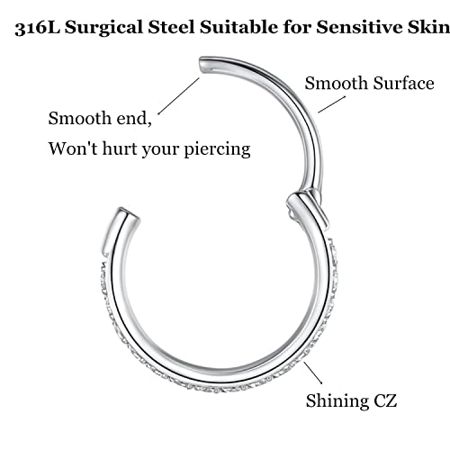 CZ Hinged Segment Nose Rings Hoop 316L Surgical Steel Cubic Zirconia Conch Daith Helix Tragus Body Piercing Jewelry Lip Rings Cartilage Earrings 20G 18G 16G Stainless Steel Septum Clicker Ring - color: Silver, size: 20 Gauge 7mm