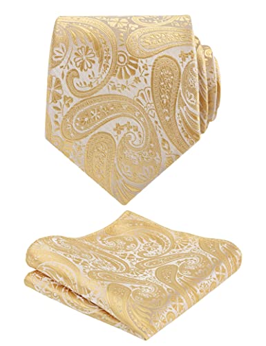 Alizeal Mens Gradient Paisley Necktie and Pocket Square Set | Elegant Design Perfect for Weddings Banquets Business Formal Events - color: 170-champagne
