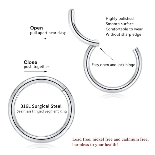 18G Nose Hoop Rings Surgical Steel Hinged Segment Clicker Rings 16G Septum Lip Rings 10 PCS Conch Daith Rook Cartilage Tragus Helix Sleeper Lobe Hoop Earrings Piercing Jewelry for Women 6mm to 16mm - color: Silver:10 pcs