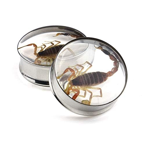 Ear Gauges Plugs Genuine Scorpion Inlay Stainless Steel Double Flare Tunnels Stretching Expander Body Piercing Jewelry 2 Pieces - color: Gauge 11/16" (18mm)