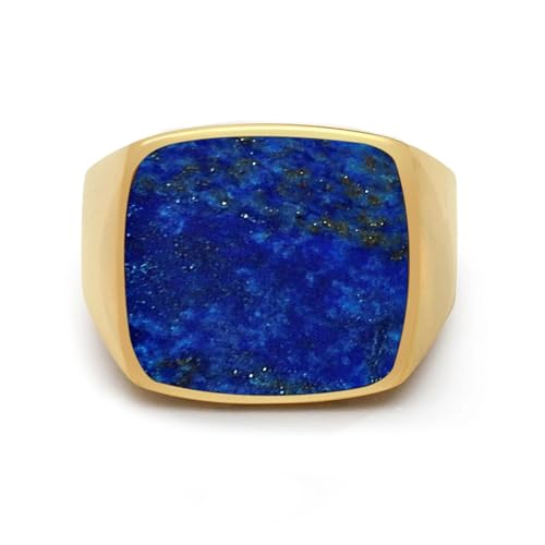 Square Cut Tiger Eye/Black Onyx/Turquoise/Lapis/Moss Agate Rings for Men 925 Sterling Silver 10K 14K 18K Gold Signet Rings for Men - style: Lapis Lapis