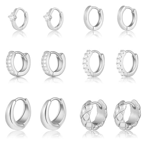 Wgoud Small Gold Hoop Earrings Set for Women, 6 Pairs 14K Gold Plated Hypoallergenic Lightweight Huggie Hoops Earrings, Trendy Cartilage Cubic Zirconia Earrings for Women Gifts. - color: E-Silver hoops